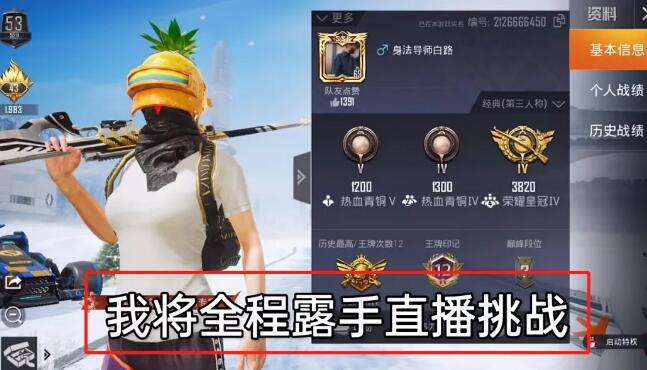 和平精英正规卖挂平台【小笼包一体直装】午后